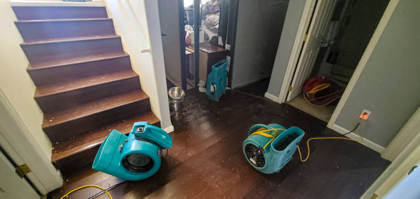 Best 24-hour water damage restoration  in Holt, AL