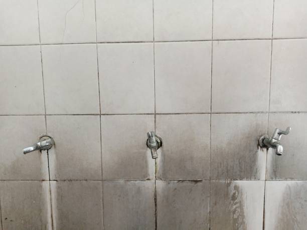 Best Sewage cleanup and water damage restoration  in Holt, AL