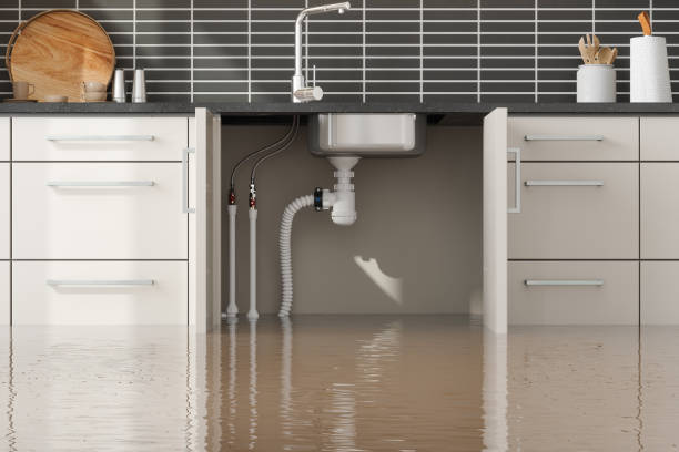 Water damage restoration insurance claims in AL